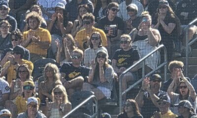 WVU Baseball crowd