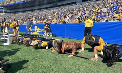 WVU Mountaineer Mascot at Pitt