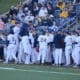 WVU Baseball Team Stock Photo