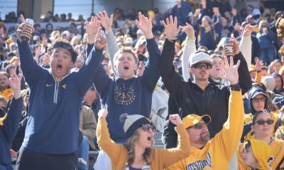WVU Football Fan STOCK photo