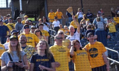 WVU Baseball fans