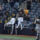 WVU Baseball celebrating