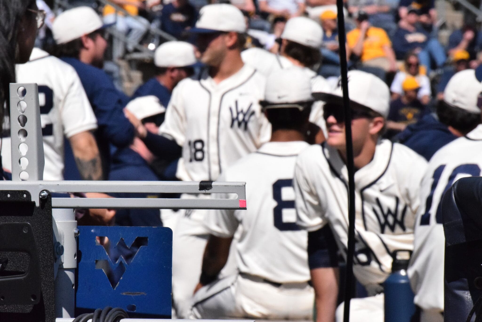 WVU Baseball players in dugout
