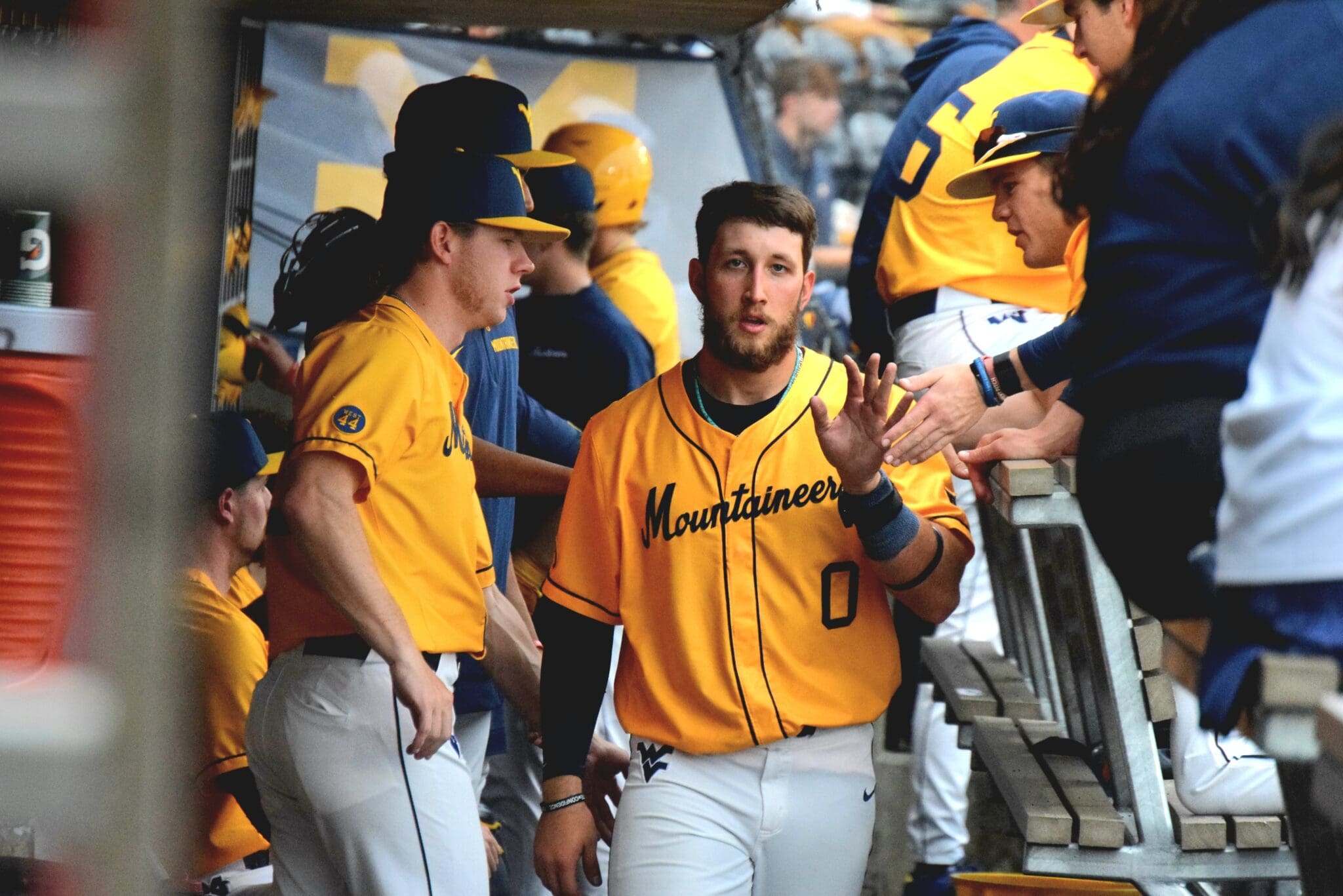 WVU Baseball celebrating