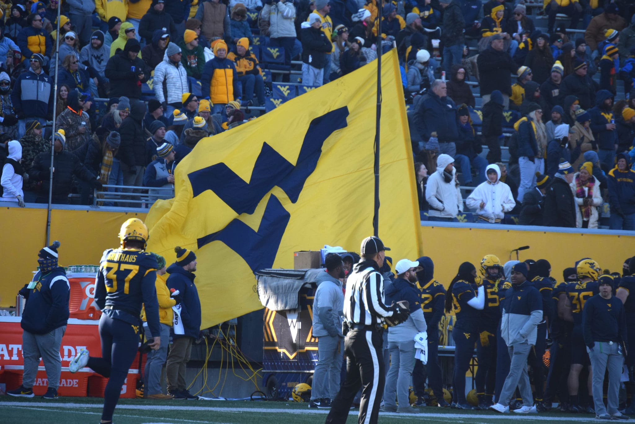 WVU football flag