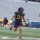 WVU Football WR Rodney Gallagher No. 24