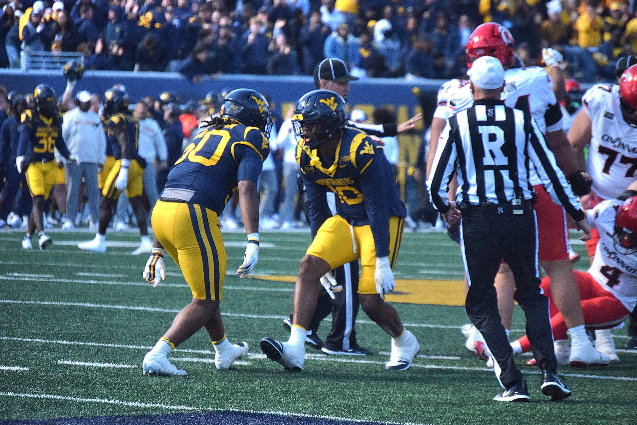 WVU Football players celebrate against Cincinnati