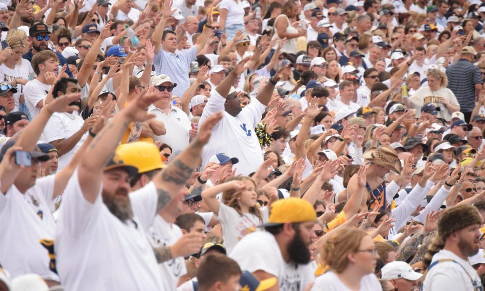 WVU Football Fans in White stock photo