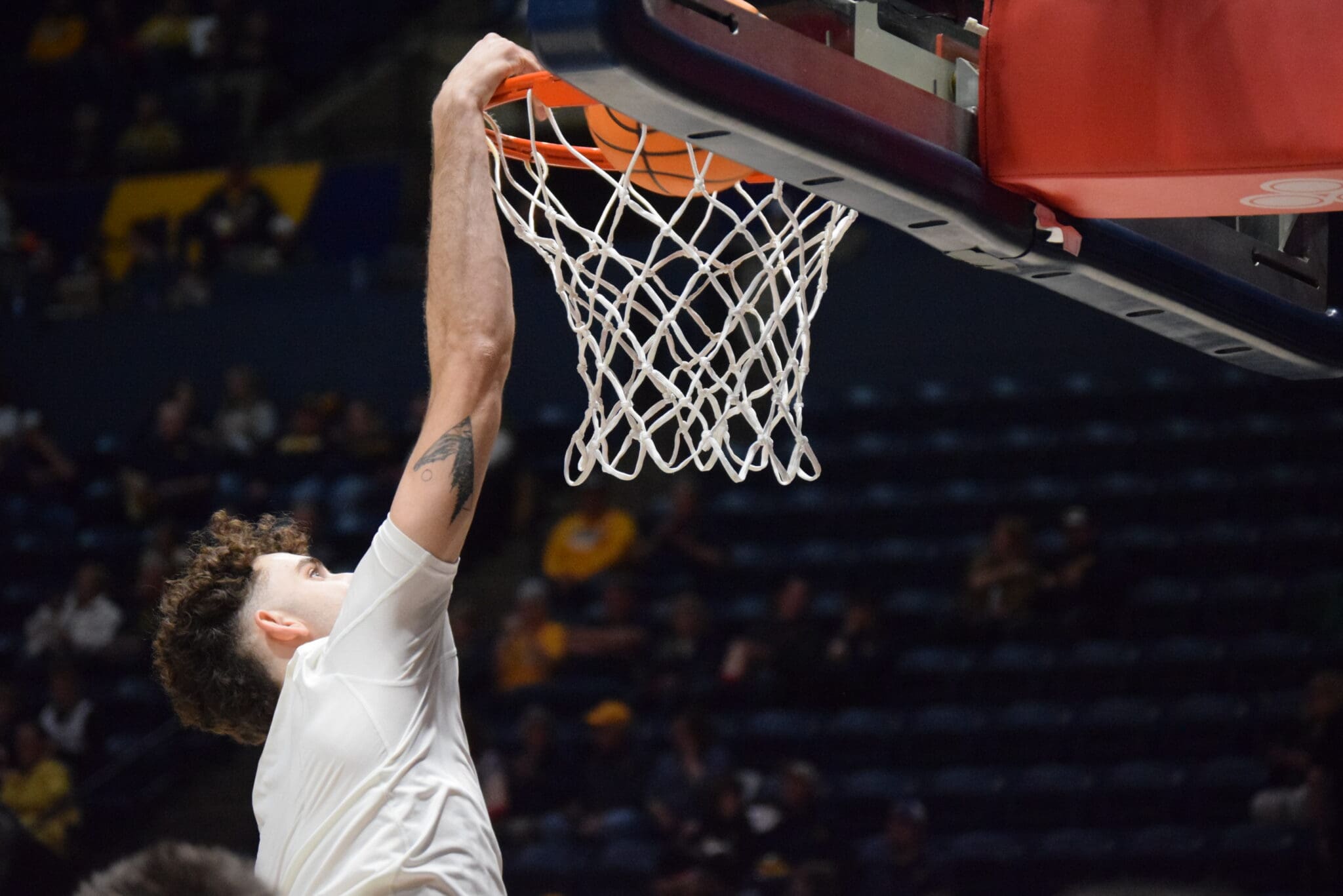 WVU Basketball Ofri Naveh