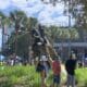 UCF Knight statue
