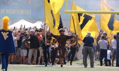 Mountaineer Mascot runs on field before WVU Football game stock