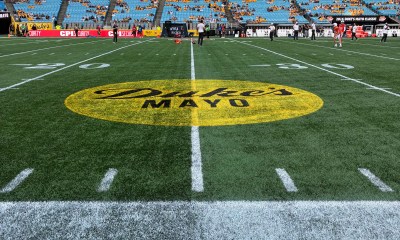 Duke's Mayo logo on field
