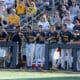 WVU Baseball players in dugout