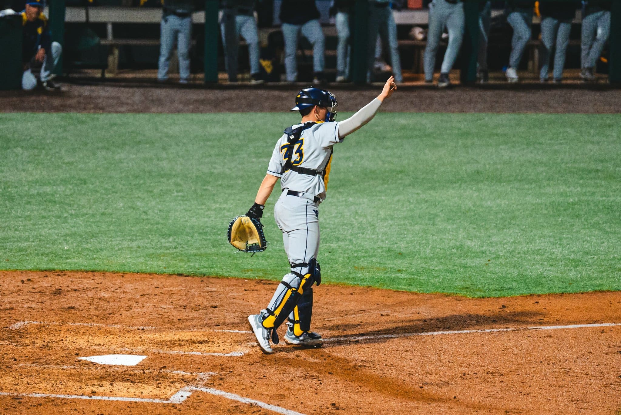 WVU Baseball C Logan Sauve