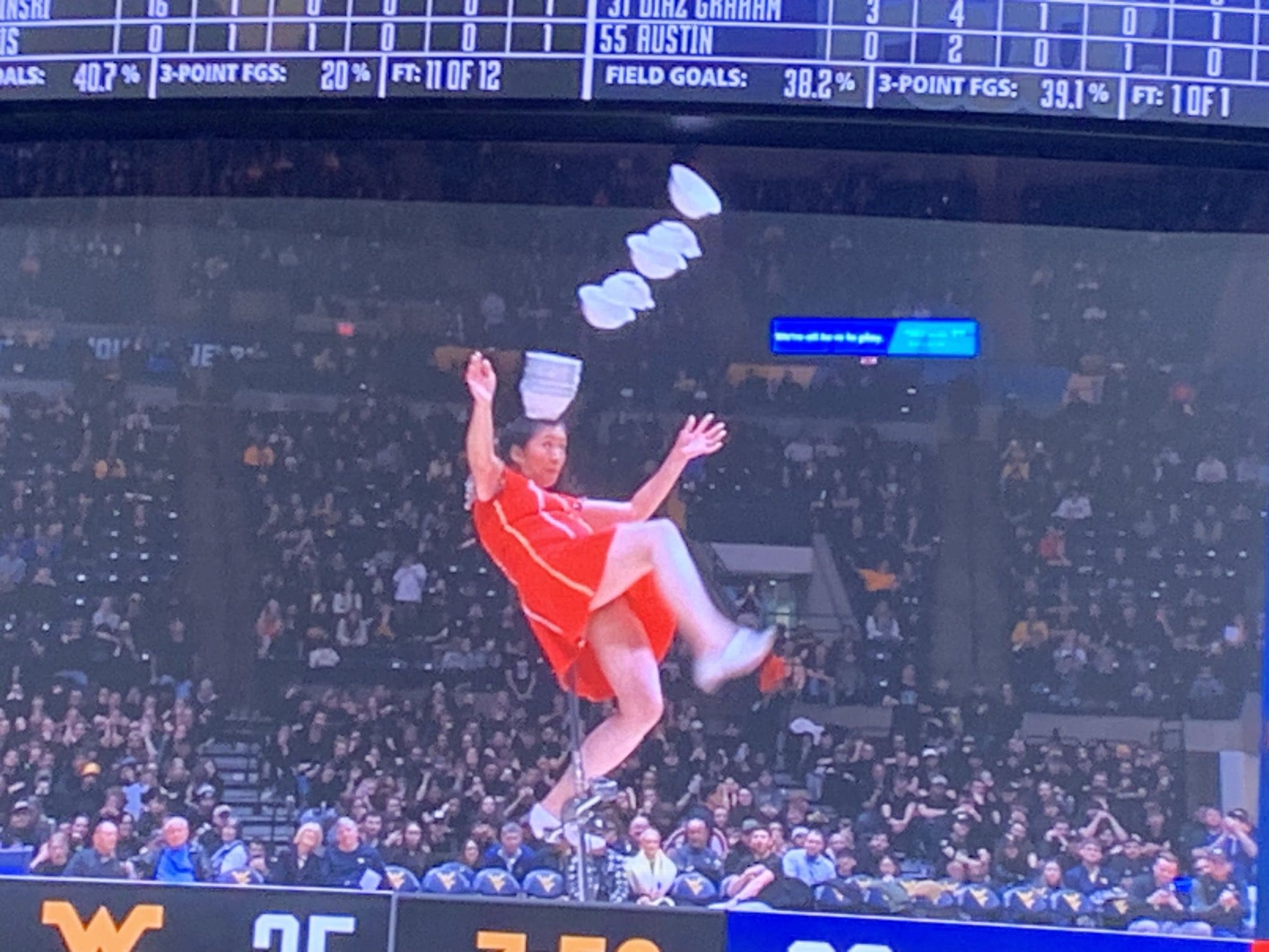 Red Panda at WVU